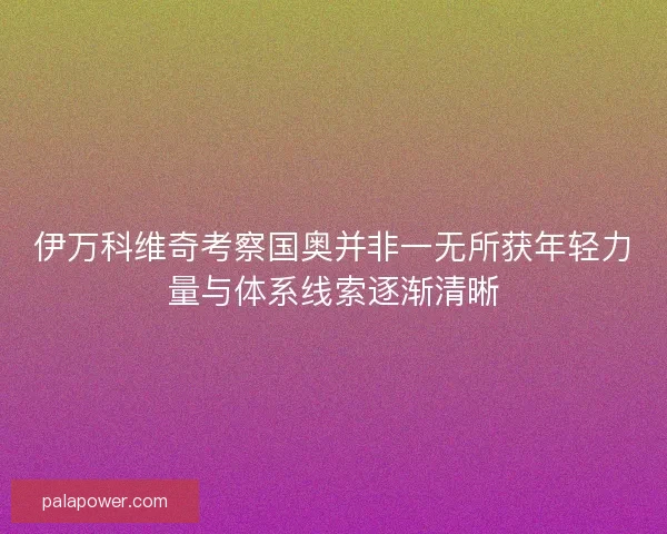 伊万科维奇考察国奥并非一无所获年轻力量与体系线索逐渐清晰