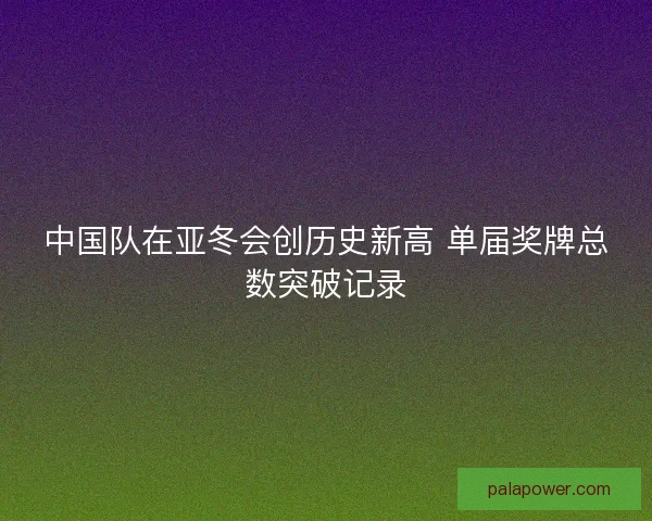 中国队在亚冬会创历史新高 单届奖牌总数突破记录