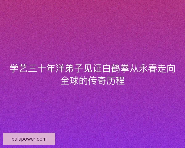 学艺三十年洋弟子见证白鹤拳从永春走向全球的传奇历程 学艺三十年洋弟子见证白鹤拳从永春走向全球的传奇历程